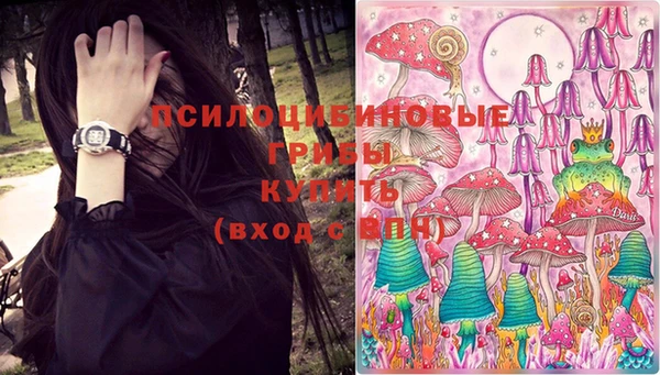 прущие грибы Беслан