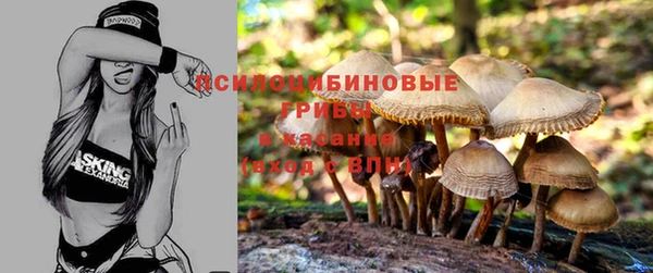 мяу мяу кристалл Надым